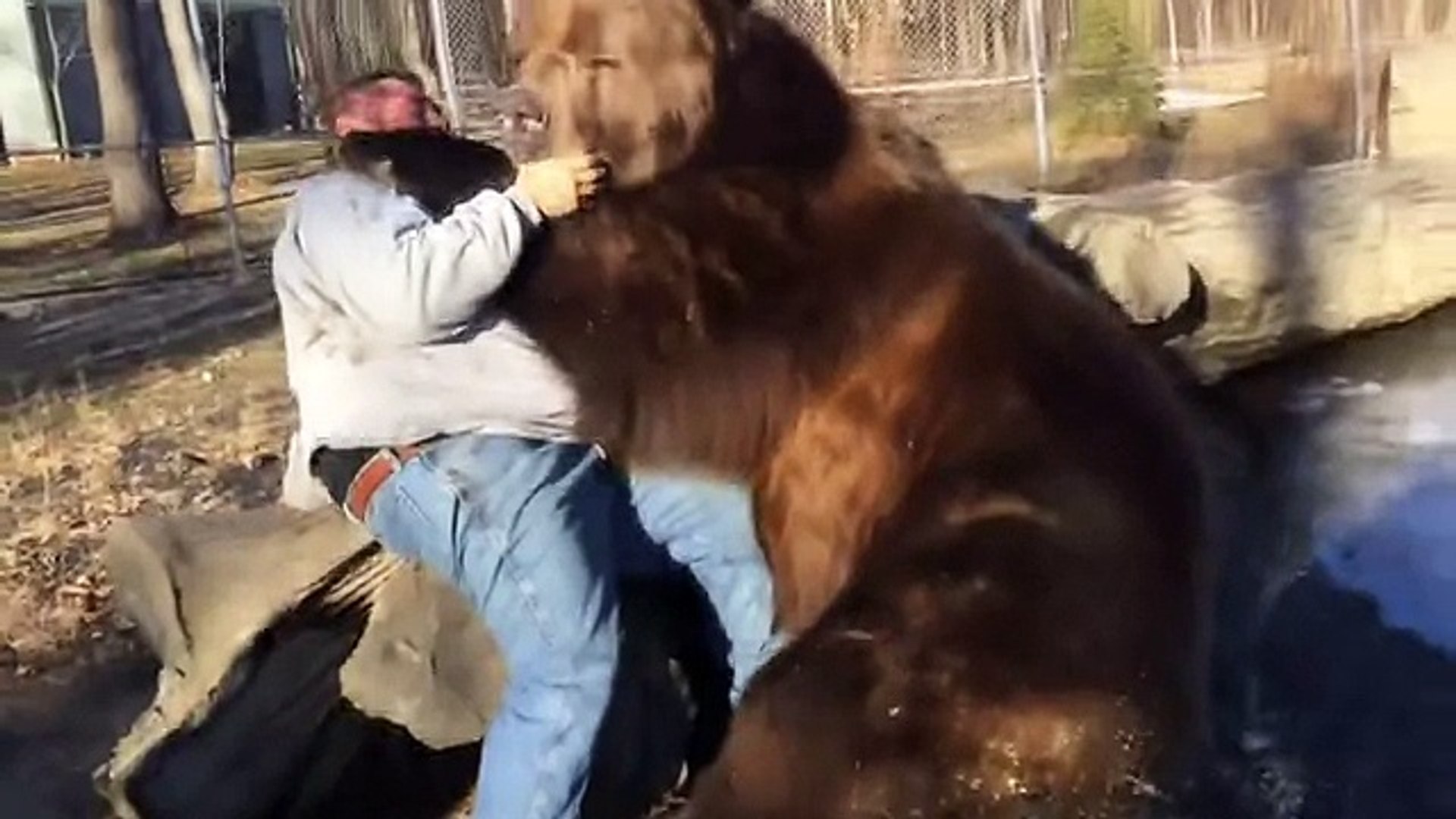 ⁣Большой медведь A big bear