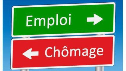 Voir et revoir La Documentation française : Emploi et chômage sur MCEReplay