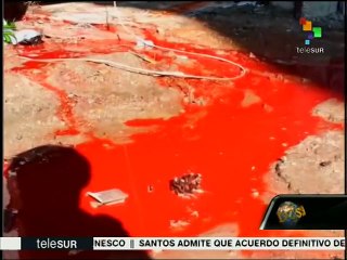 Dossier 01/03: Tensions Flare as Four Killed in Jerusalem