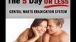 The 5 Day or Less Genital Warts Eradication System.wmv | How Do You Get Rid of Genital Warts