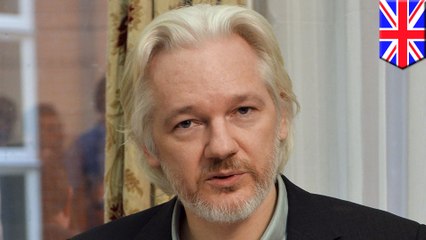 United Nations panel rules that Julian Assange was arbitrarily detained