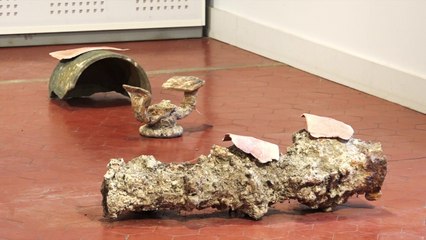 Delphine Wibaux, Absorptions pour un vestige