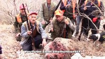 Meşelikte Domuz Avı Wild Boar Hunting 2016