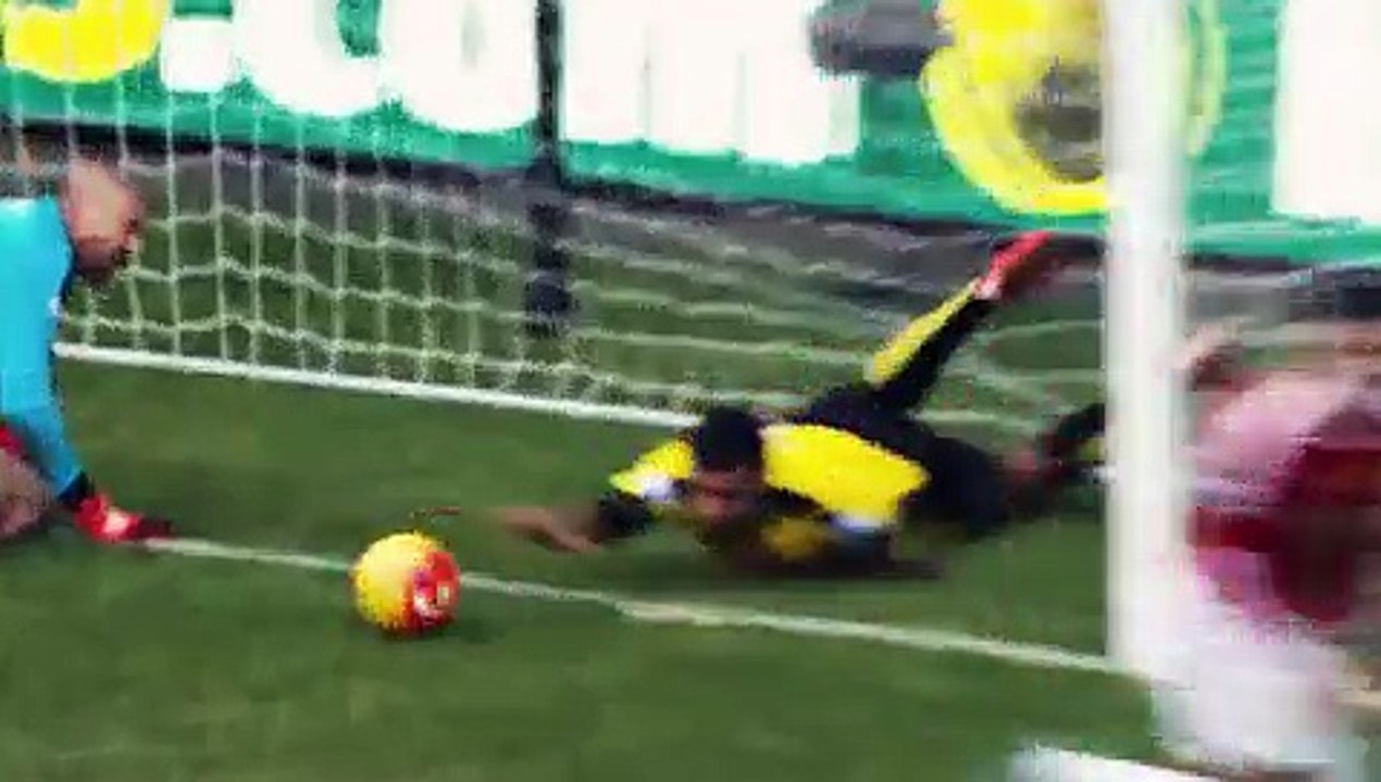 herrera