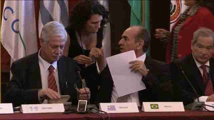 Latin American health ministers agree on roadmap to fight Zika