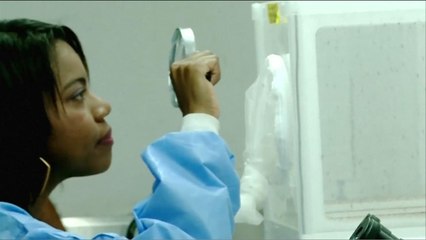 تحقيق تقدم في تطوير لقاح لمكافحة زيكا