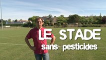 Le cimetière sans pesticides : trucs & astuces des communes engagées dans la démarche terre saine communes sans pesticides
