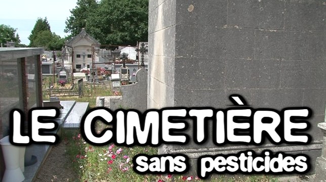 Le cimetière sans pesticides : trucs & astuces des communes engagées dans la démarche Terre Saine communes sans pesticides