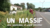 Les massifs sans pesticides et sans entretien : trucs & astuces des communes engagées dans la démarche Terre Saine communes sans pesticides