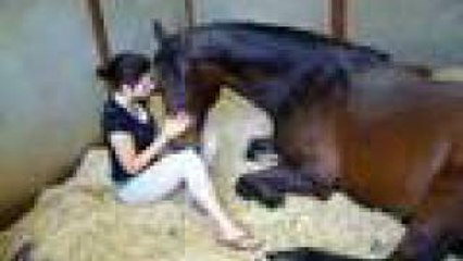 Girl and Horse - Great Bond