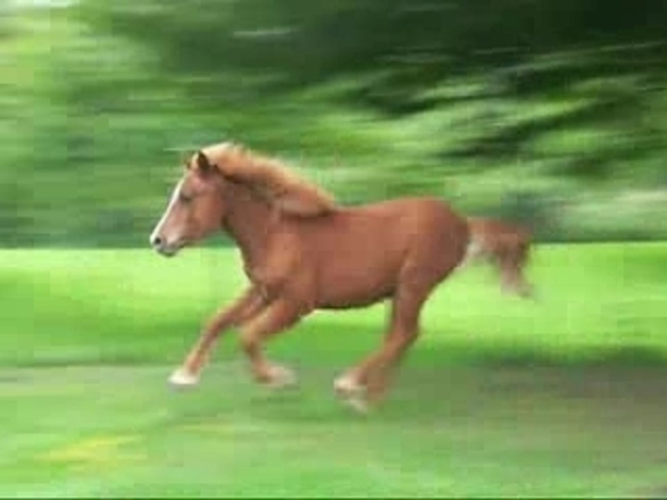 Jo, Can' & Salto en action SVP :D