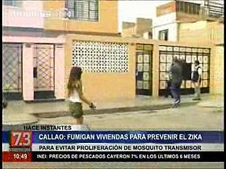 Callao: Fumigan viviendas para prevenir el zika