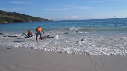 Случилось нечто немыслимое!