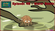 I'm a Creepy Crawly - Episode 48 - Water Beetle