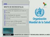 OMS estima que zika puede afectar a 4 millones de personas en AL