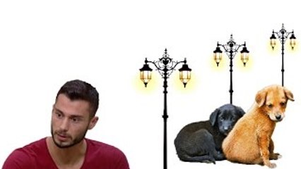 Emreden Anlamlı Mesaj *Kısmetse Olur