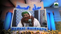 Ho Madine Ka Ticket Mujh ko Ata Data Piya - Maulana Ilyas Qadri - Madani Guldasta 257