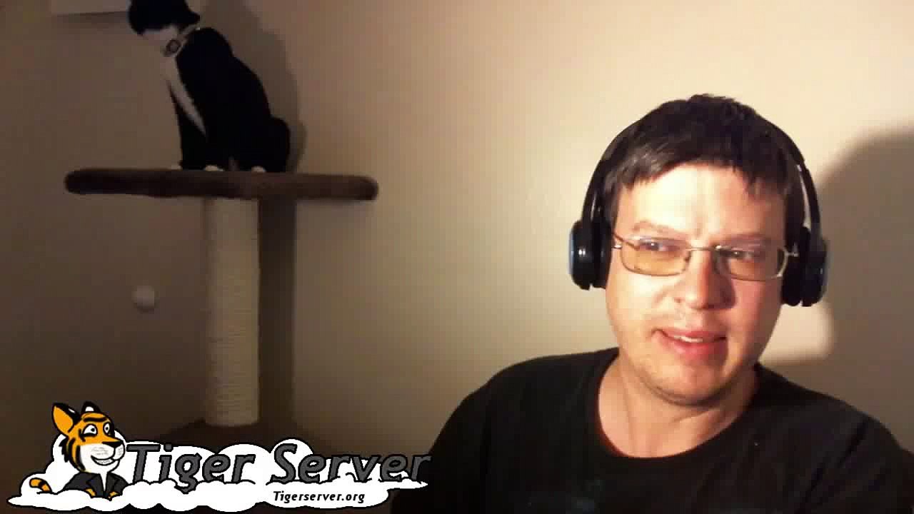 Firework Show (4th Of July 2010)