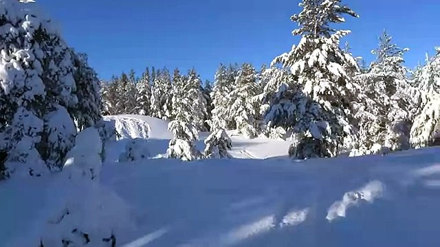 Снегоходы ямаха. В деле. Ну вот где то так маленький элемент трассы супер