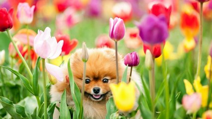 .:Wszystkiego Najlepszego:.