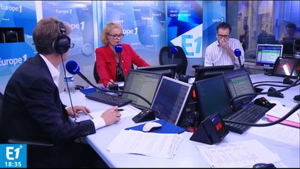 Cohn-Bendit : "Hulot était sceptique de toute façon"