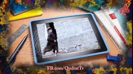 Degree college Girls Title name