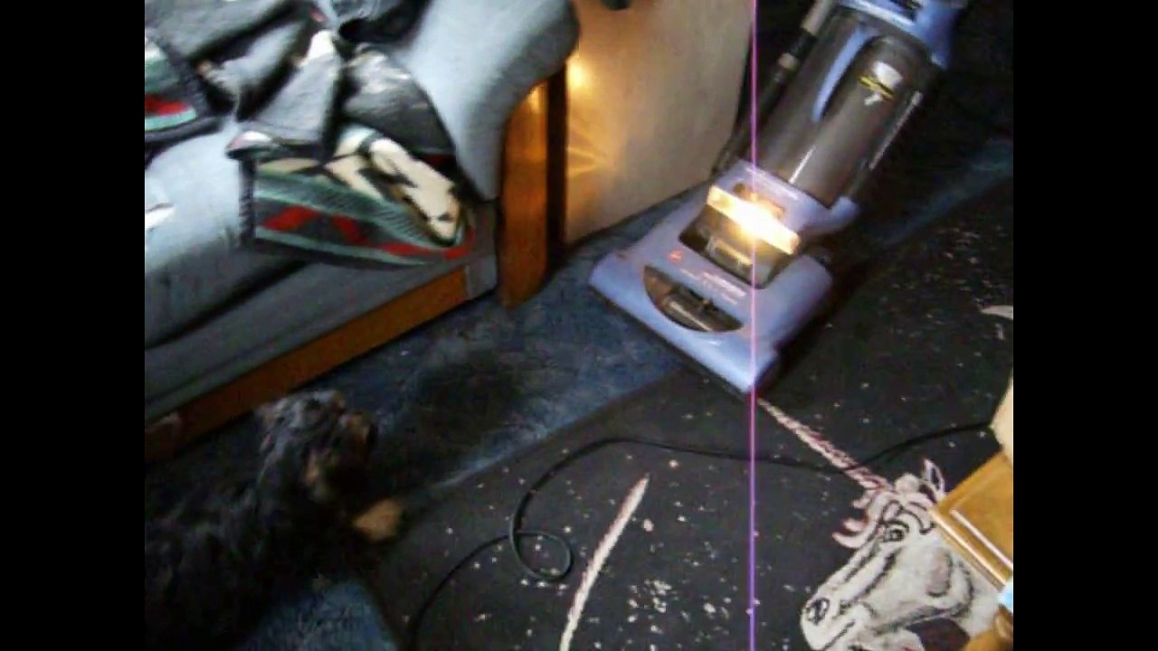 Puppy Attack  Vacuum (Very Cute)