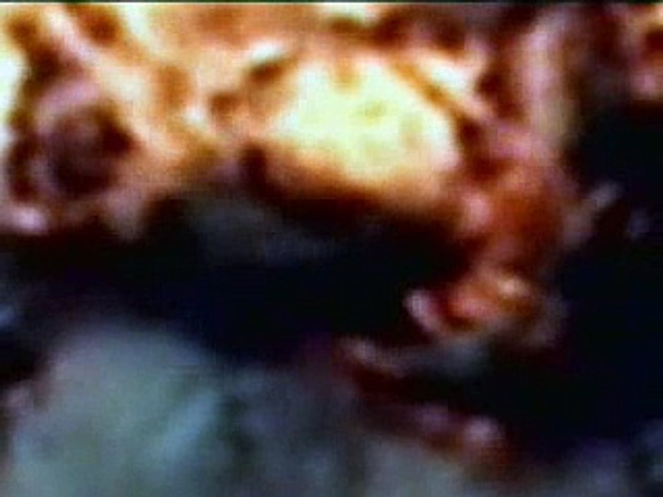 Naomi Klein: The Shock Doctrine