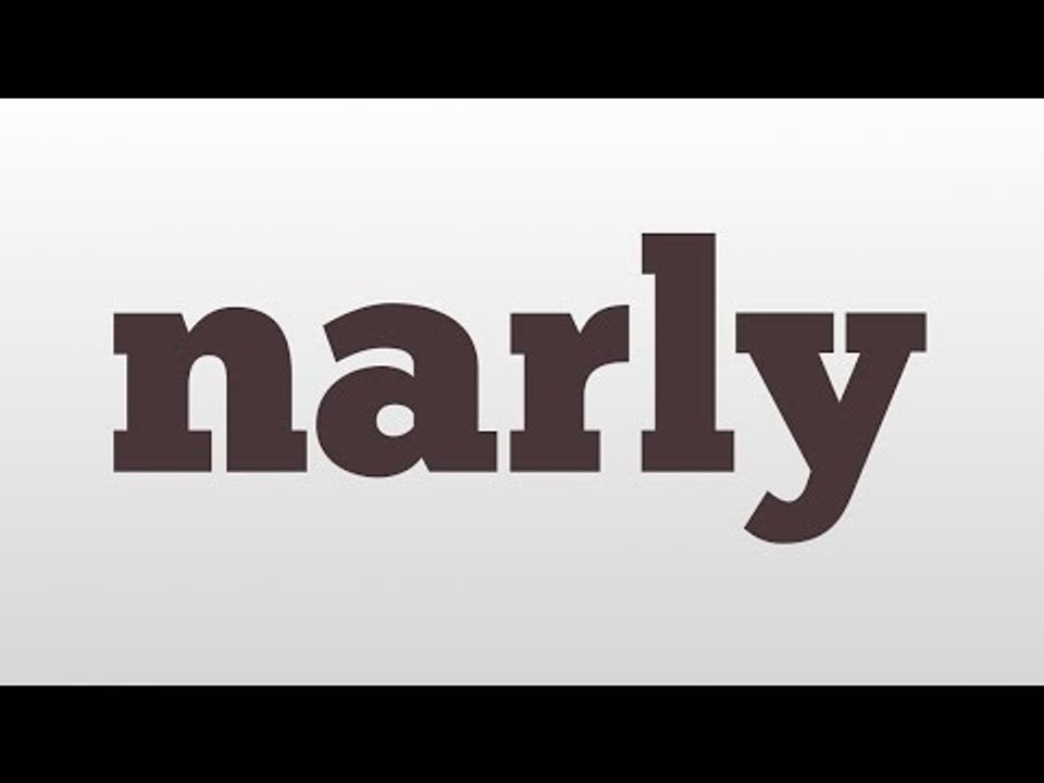 narly meaning and pronunciation