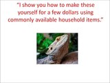 Bearded Dragon Secret Manual Review: Bearded Dragon Care from Bearded Dragon Secret Manual