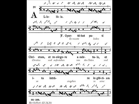 Alleluia gregorian 'Oportebat pati', Dominica III Paschae (3è dimanche du T. Pascal)