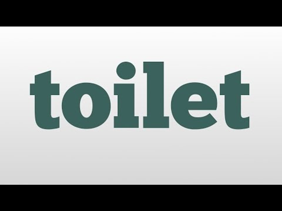 toilet meaning and pronunciation
