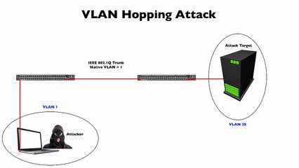 261.Selecting a Non-Default Native VLAN