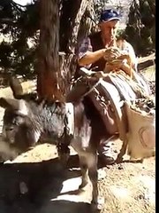 Yılları geçirdik hep boynu bükük