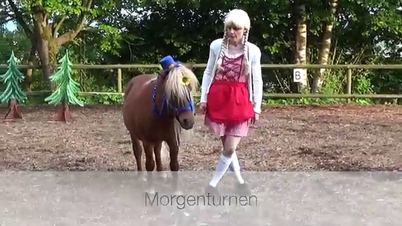 Clickertraining/Tricks mit Pferden Vorführungen 2. Teil aus "Die Reise zur weissen Taube" 2015