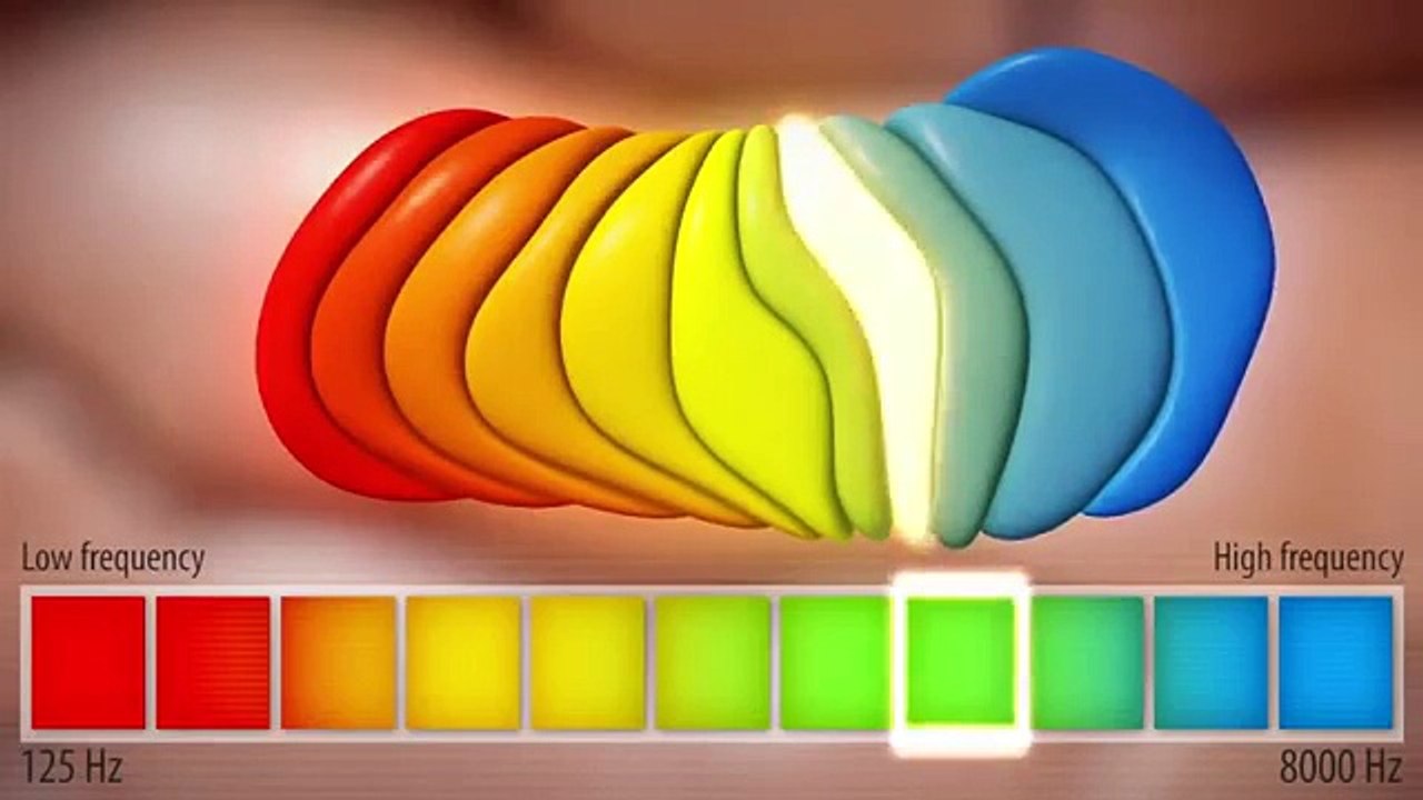 How to Cure inner ear problems with Tinnitus Miracle