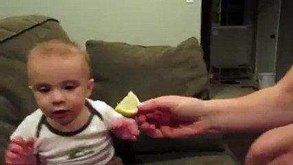 Child trying to eat the lemon .. such a cute baby