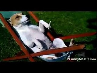 Inside the Life of a Software Engineer: Must-Watch Insights 💻