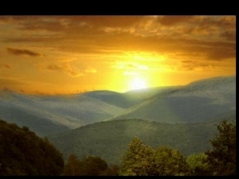 Matte painting foret