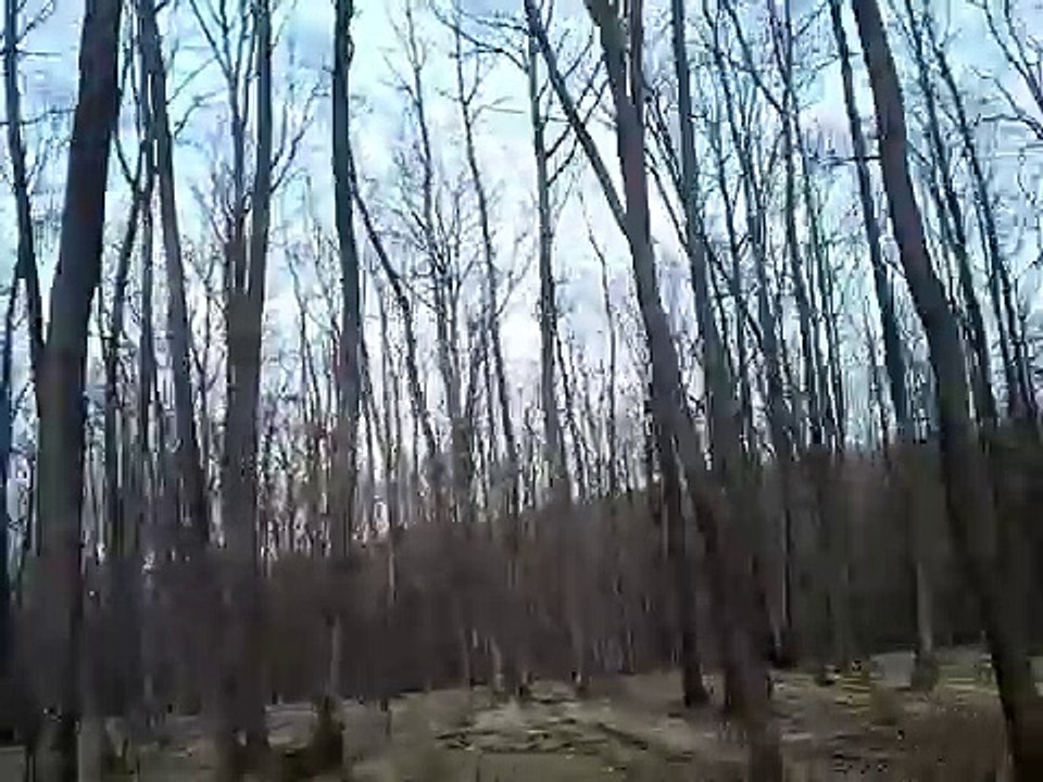 Offroad by Cobbra4x4 2015