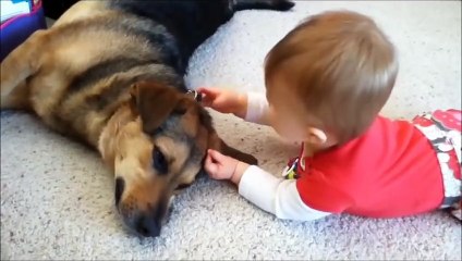 Маленькие дети и собака-сплошной позитив