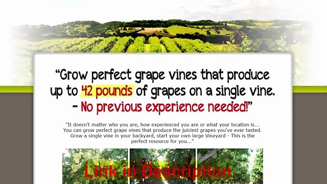 My Grape Vine Review - The Complete Grape Growing System