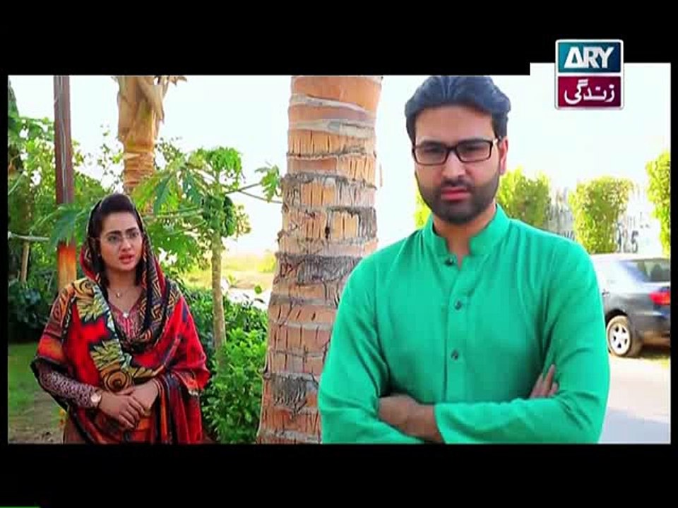 Behnein Aisi Bhi Hoti Hain Last Episode 376 on Ary Zindagi