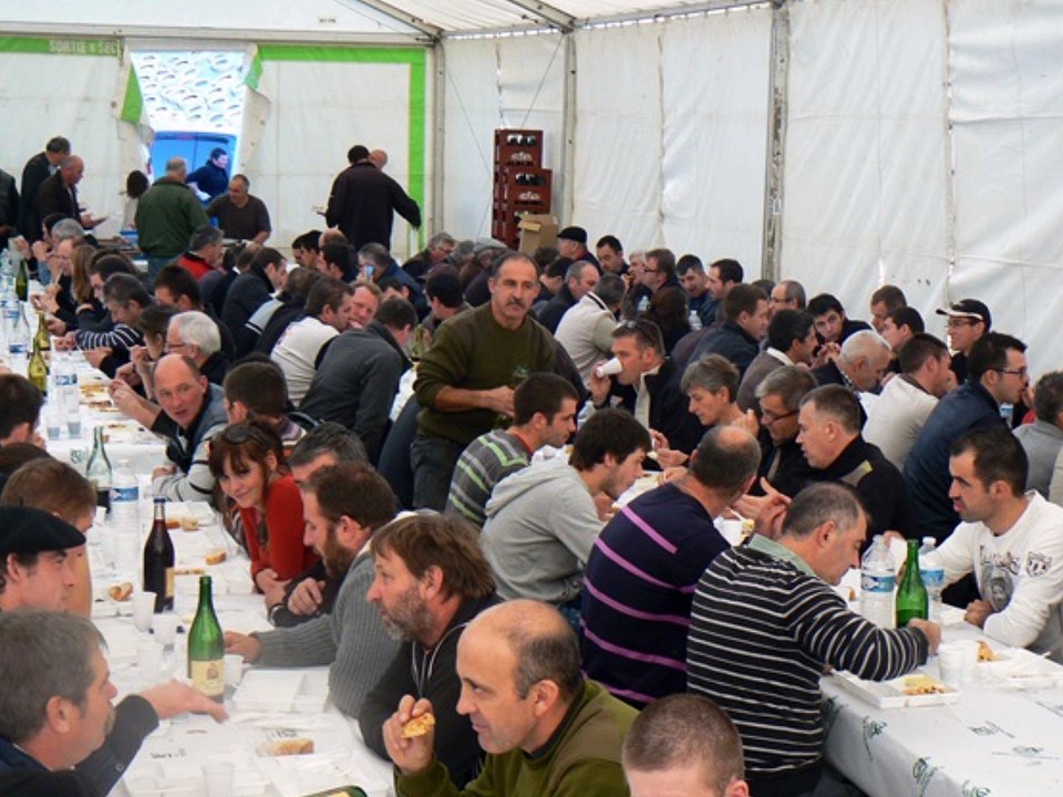 Journées à thèmes GAEC de L'ESPERANCE PRIM'HOLSTEIN AVEYRON, formation nationale de juges PRIM'HOLSTEIN FRANCE