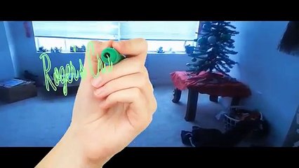 Explaindio video review,Sean and Roger discuss crazy cat videos being created with explaindio vide