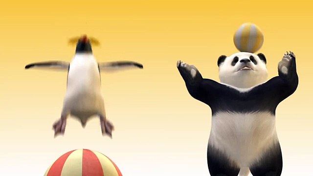 Собака – друг человека паучат выползают из брюха беременной мамы-паучихи