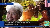 Старушка задушила бешеного енота