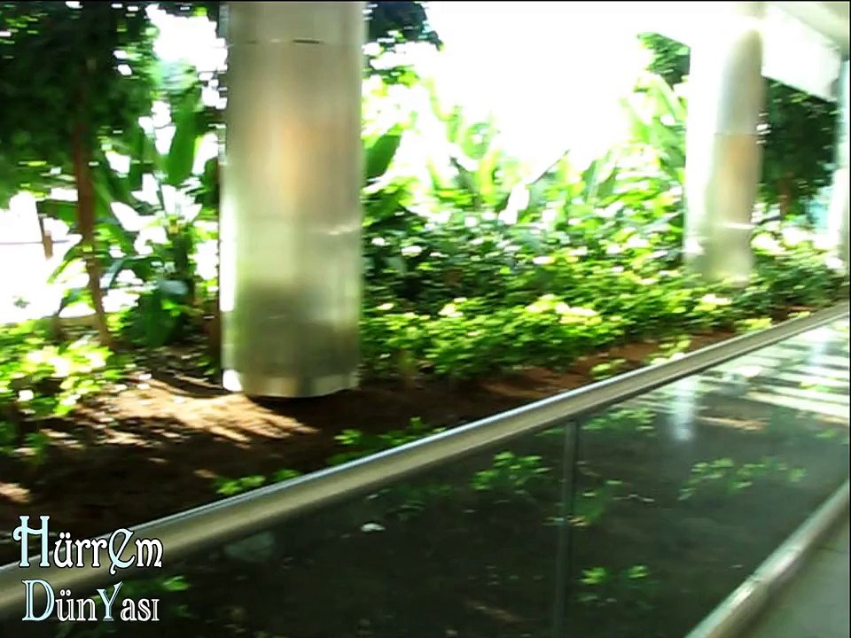 Özel türk kahvesi. Турецкий кофе по особому рецепту. Я дома (ВЛОГ) TURKEY. IZMIR