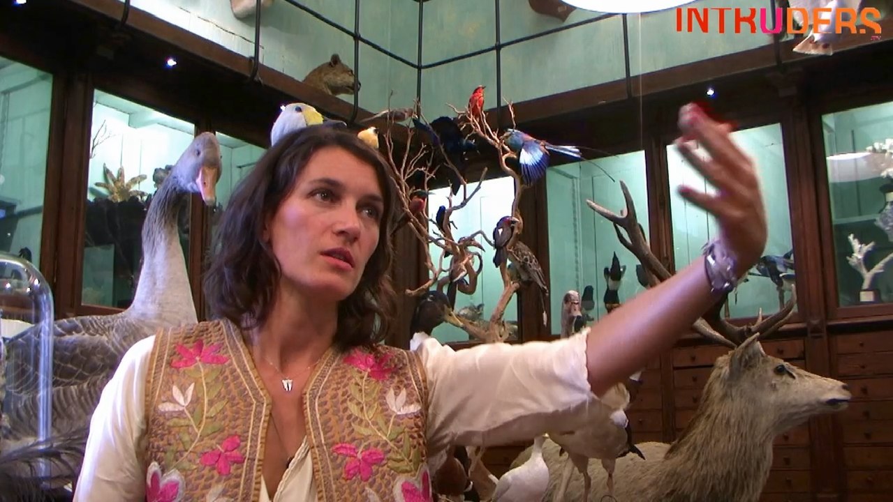 Sarah Zeppilli sur le Web... entre ouverture, découverte, zapping et durée