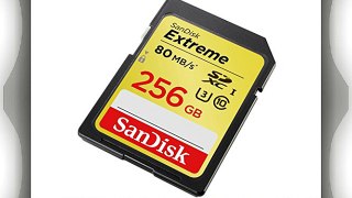 SanDisk SDSDXN-256G-G46 Tarjeta de memoria SD de 256 GB amarillo